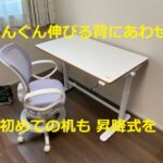 【FLEXISPOT SD1】初めての机でも、電動式昇降デスクでイイっしょ!